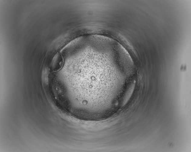 X0000093460026200710261031