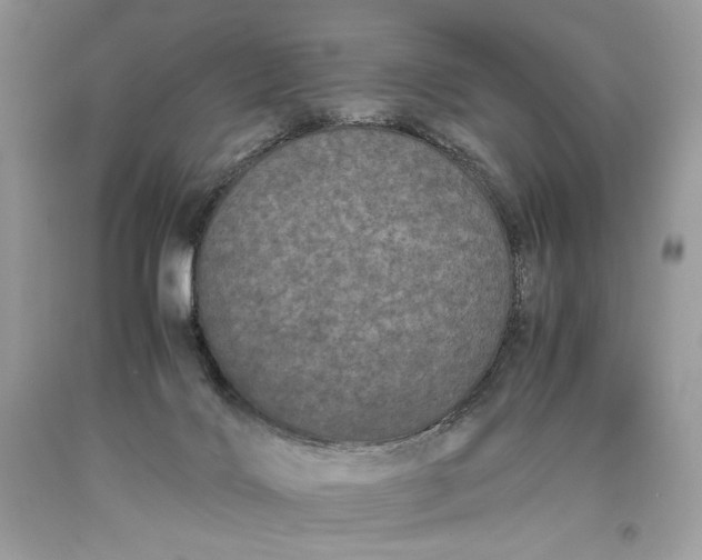 X0000093460028200710261031