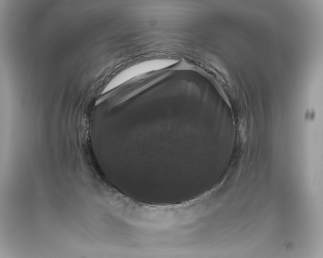 X0000093460029200710261031