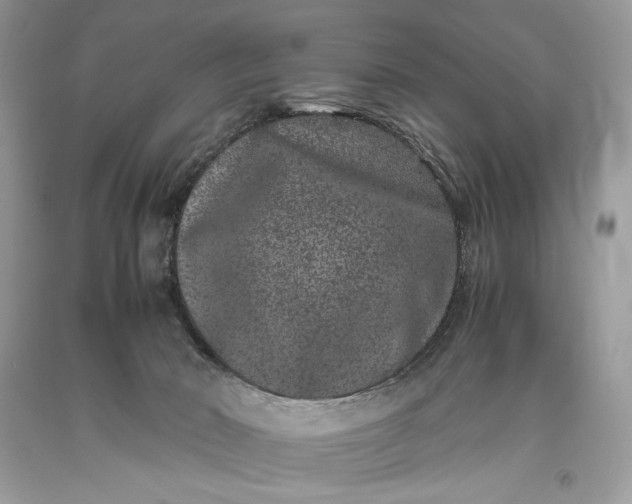 X0000093460030200710261031