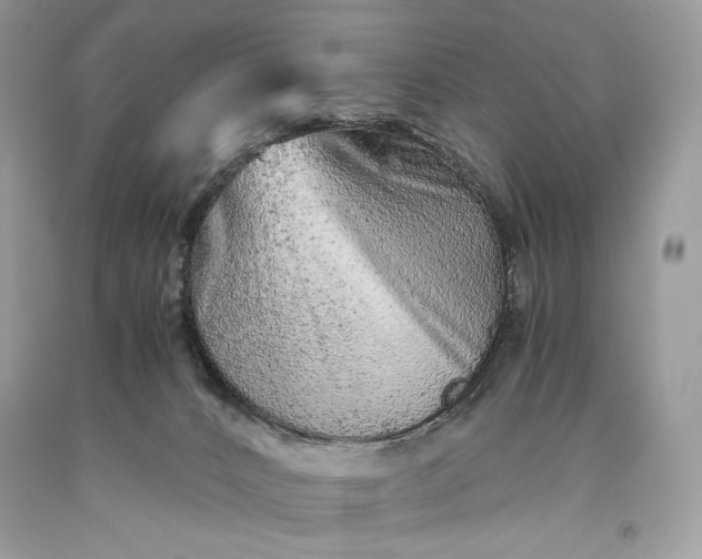 X0000093460032200710261031