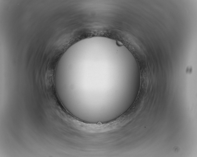 X0000093460034200710261031