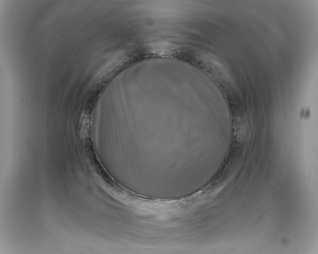 X0000093460036200710261030