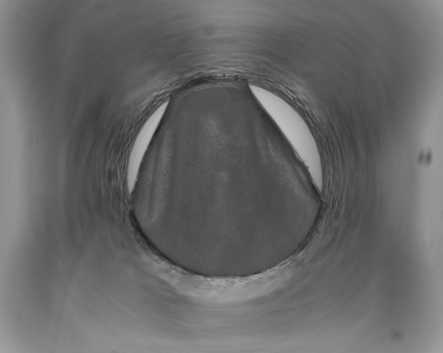 X0000093460037200710261030