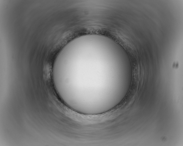 X0000093460038200710261030