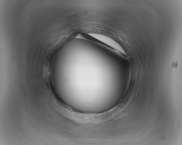 X0000093460040200710261030