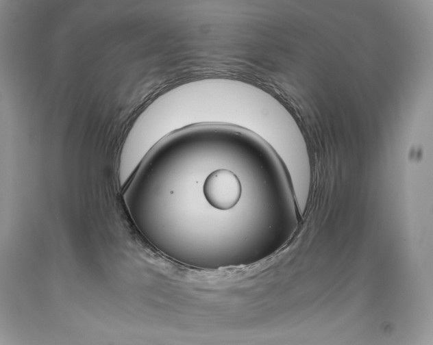 X0000093460041200710261030