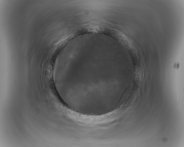 X0000093460043200710261030