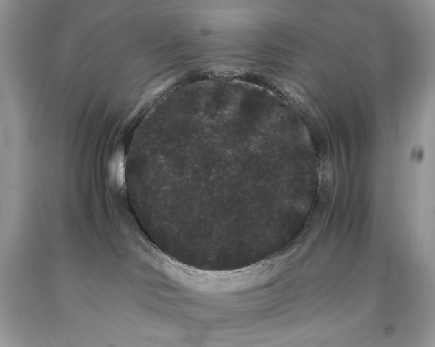 X0000093460046200710261030