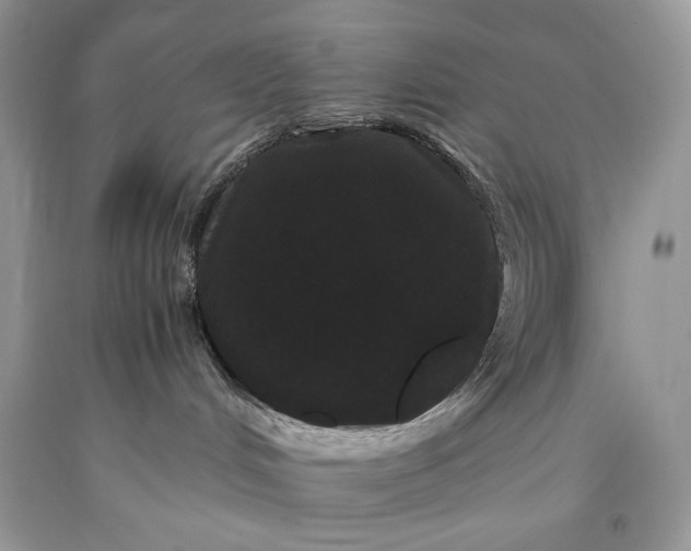 X0000093460048200710261030