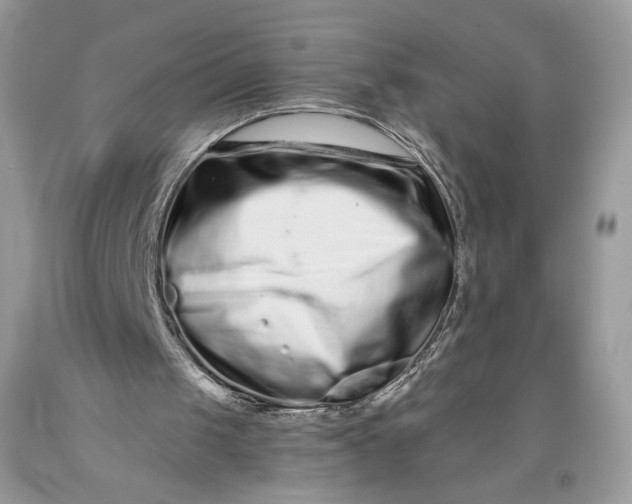 X0000093460049200710261029