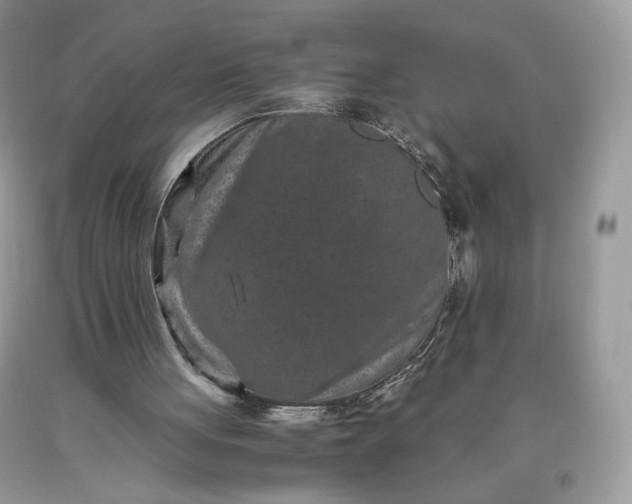 X0000093460051200710261030