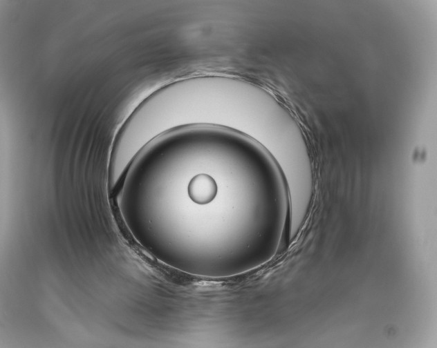 X0000093460052200710261030