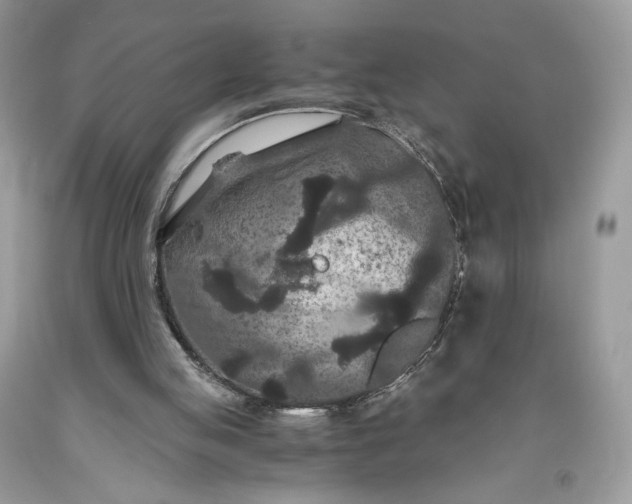 X0000093460053200710261030