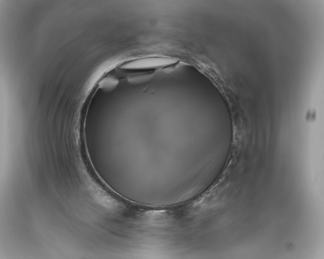 X0000093460054200710261030