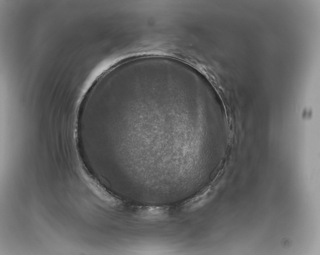 X0000093460056200710261030