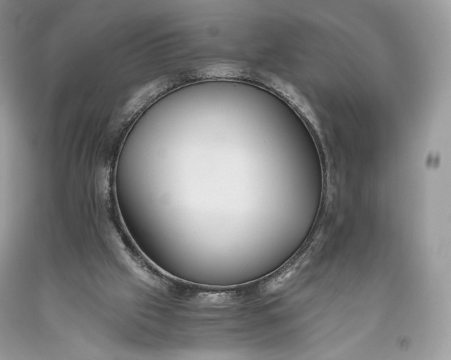 X0000093460057200710261030