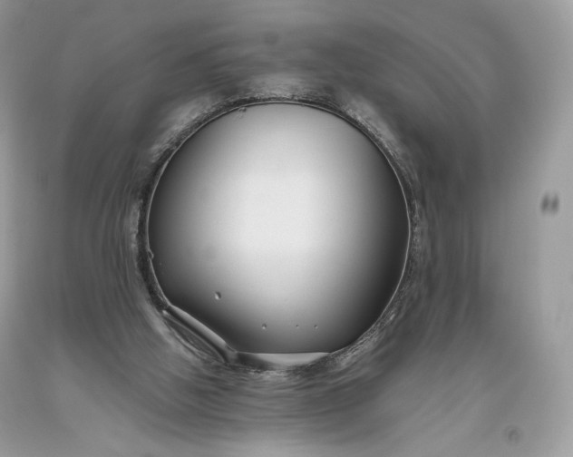 X0000093460058200710261030