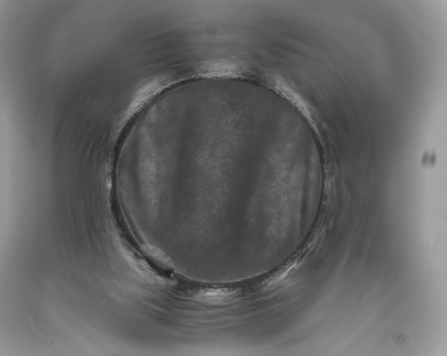 X0000093460059200710261030