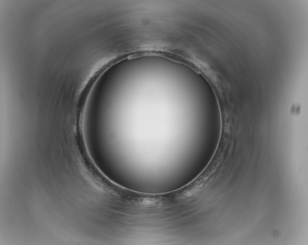 X0000093460060200710261030