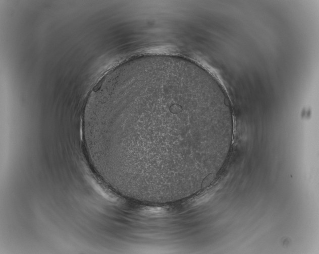 X0000093460061200710261030