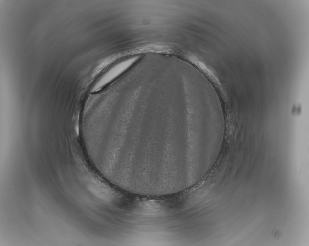 X0000093460062200710261030