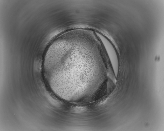 X0000093460063200710261030