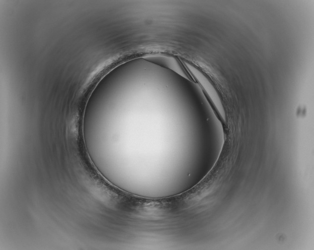 X0000093460064200710261030