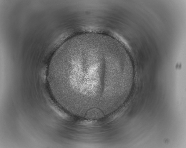 X0000093460065200710261030