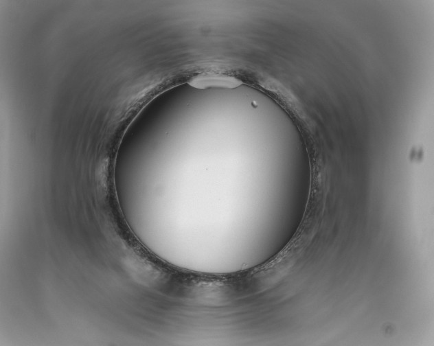 X0000093460066200710261030