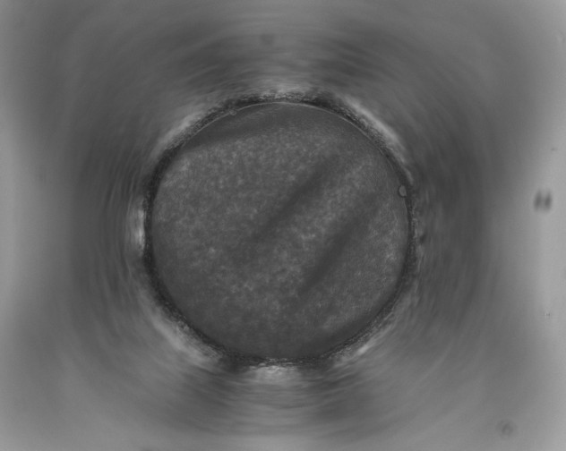 X0000093460067200710261030