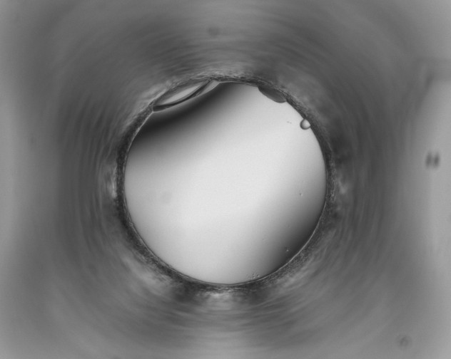 X0000093460068200710261030