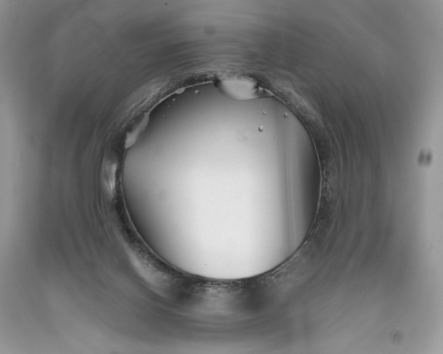 X0000093460070200710261030