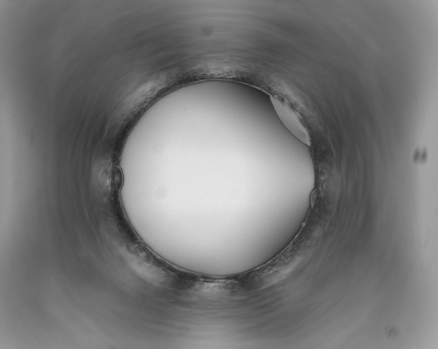 X0000093460072200710261030