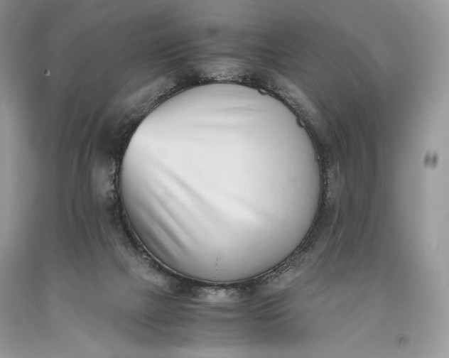 X0000093460073200710261030