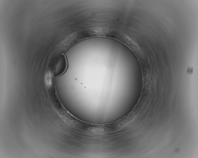 X0000093460075200710261030