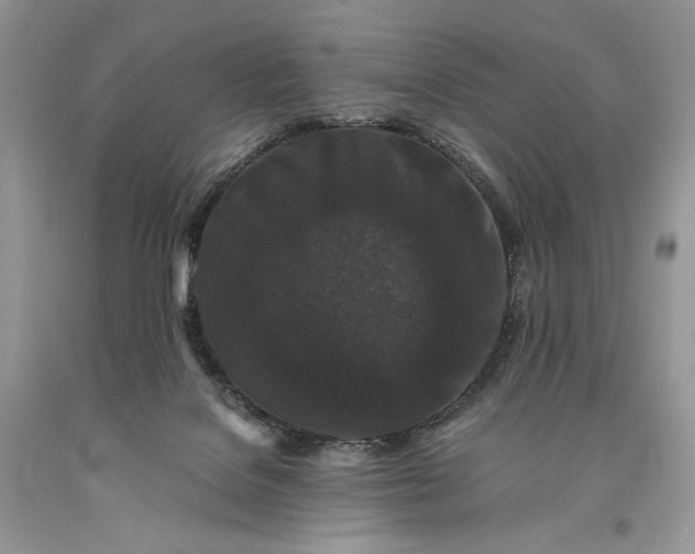 X0000093460076200710261030