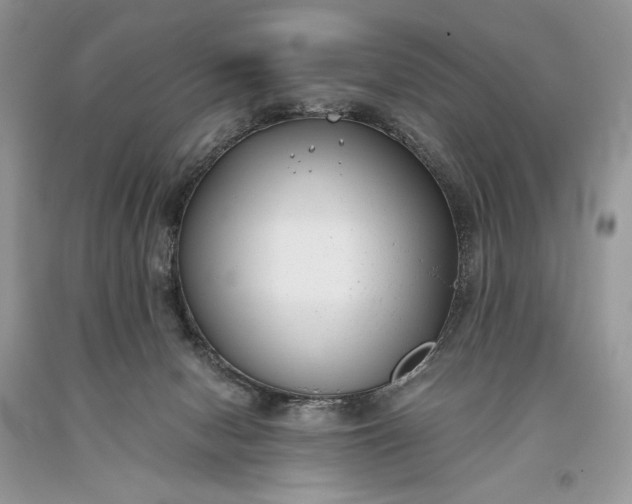 X0000093460078200710261030