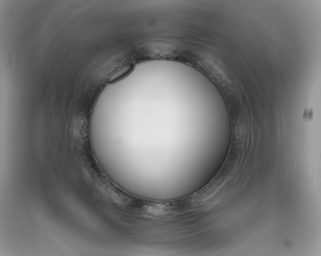 X0000093460079200710261030