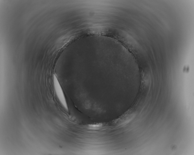 X0000093460080200710261030