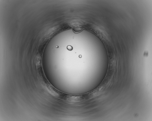 X0000093460081200710261030