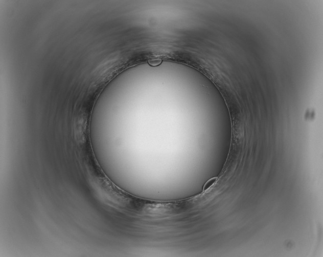 X0000093460082200710261030