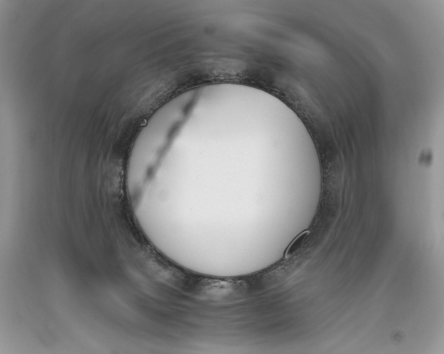 X0000093460083200710261030