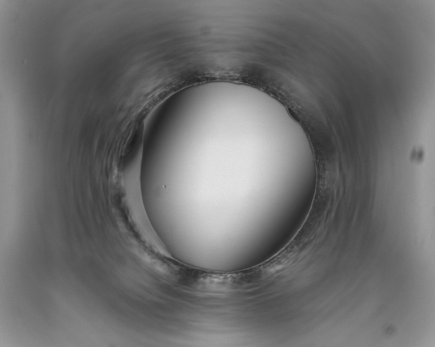 X0000093460084200710261030