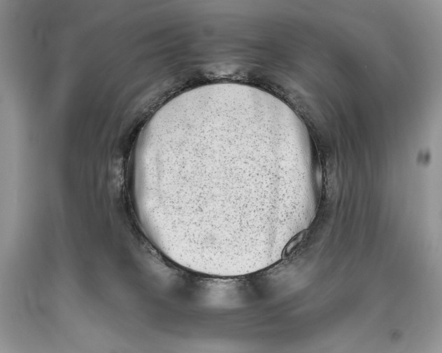 X0000093460085200710261030