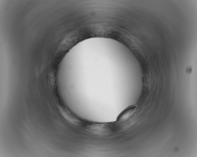 X0000093460086200710261030