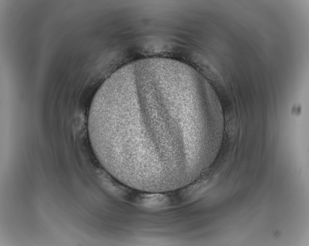 X0000093460087200710261030