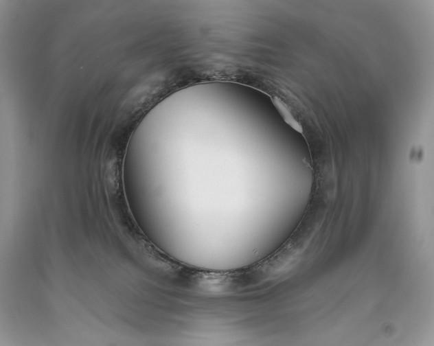 X0000093460088200710261030