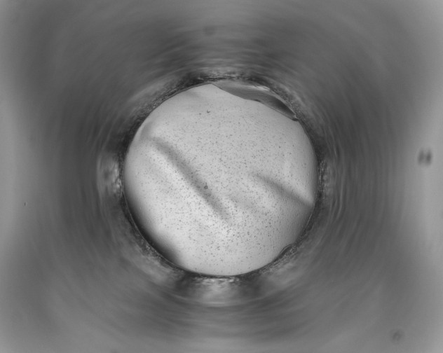 X0000093460089200710261030