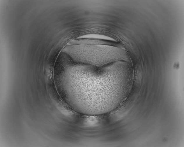 X0000093460091200710261030